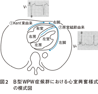 勃起不全の有償臨床試験