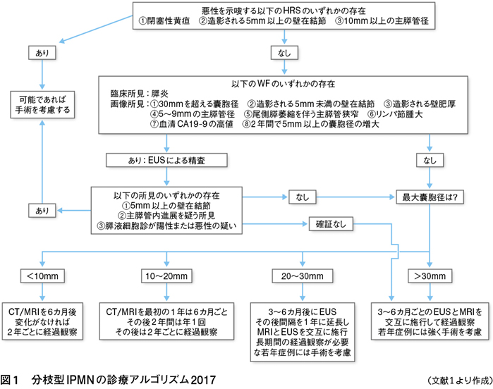 膵癌 ガイドライン