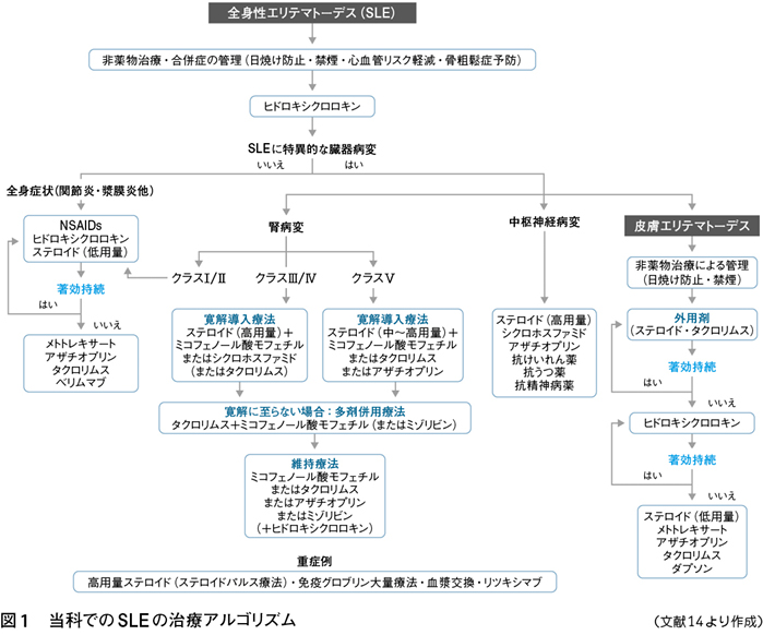 4 ヒドロキシクロロキンの役割 特集 最近のループス腎炎治療 Web医事新報 日本医事新報社