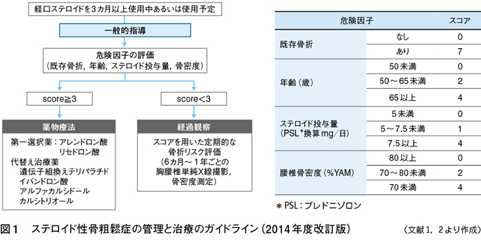 ガイドライン 2020 骨粗鬆症