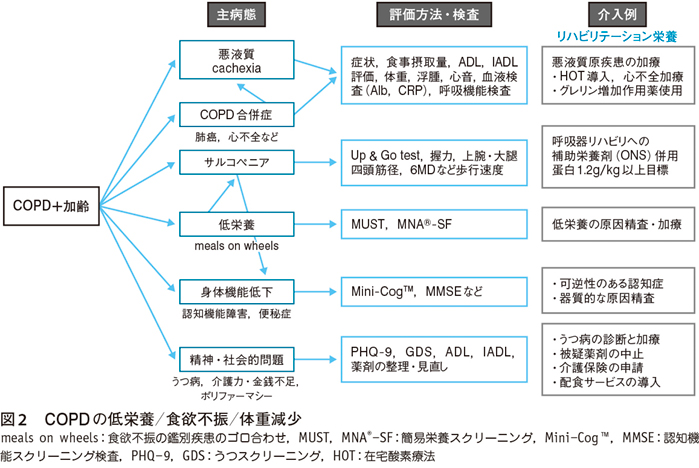 ある ある copd