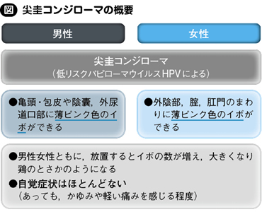 尖圭コンジローマ 私の治療 Web医事新報 日本医事新報社