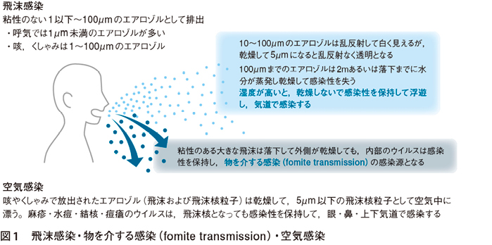 症 の 違い と 花粉 コロナ