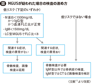 多発 性 骨髄 腫 末期