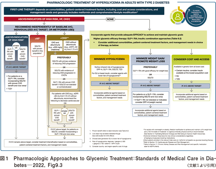 Standards of Medical Care in Diabetes─2022 」におけるメトホルミンの位置づけの変化を読み解く｜Web医事新報|日本医事新報社