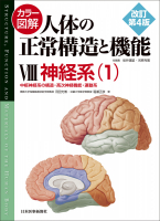 カラー図解 人体の正常構造と機能【全10巻縮刷版】改訂第4版｜書籍